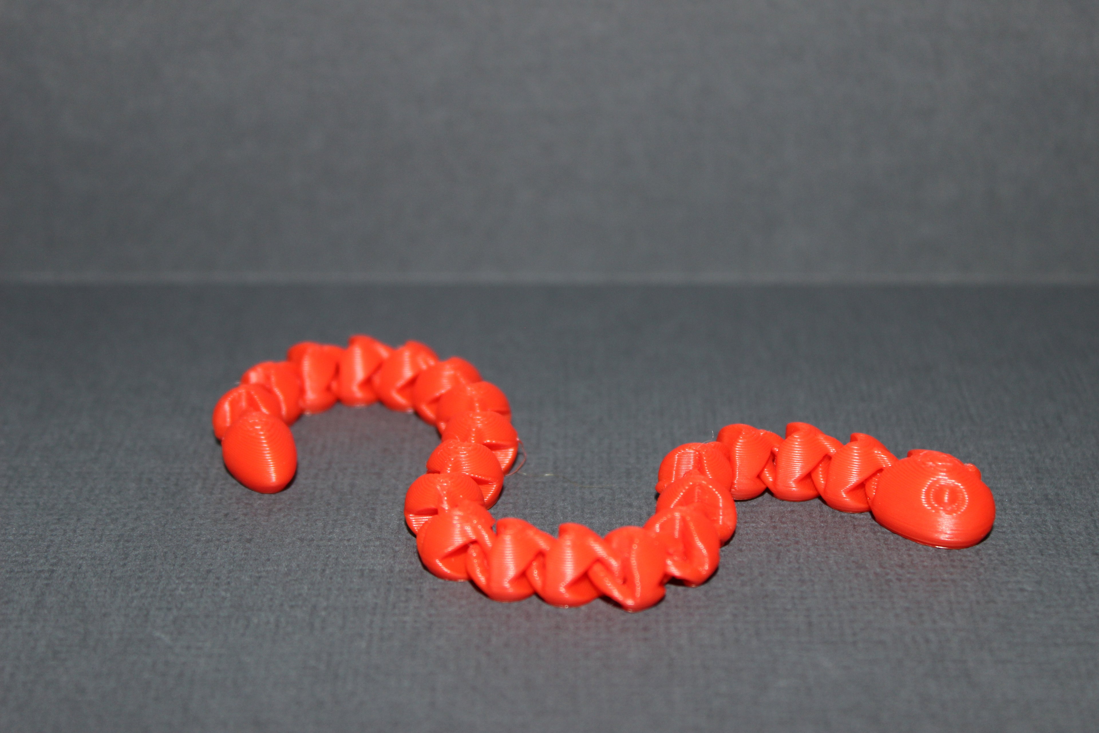 Slippery Snake Fidget